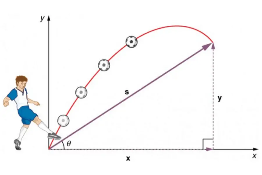 Projectile Motion Calculator (+Horizontal Distance / Maximum Height)